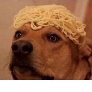 Meet your Posher, Hailey